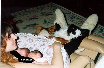 Amy, two dogs, and two babies